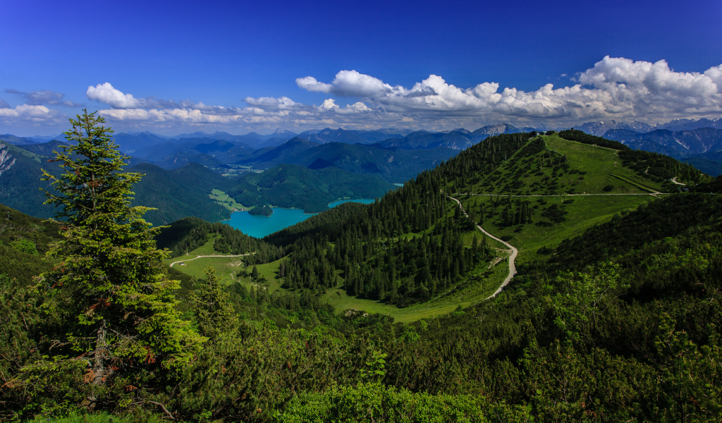 германия, леса, озеро, bavarian alps, germany, баварские альпы