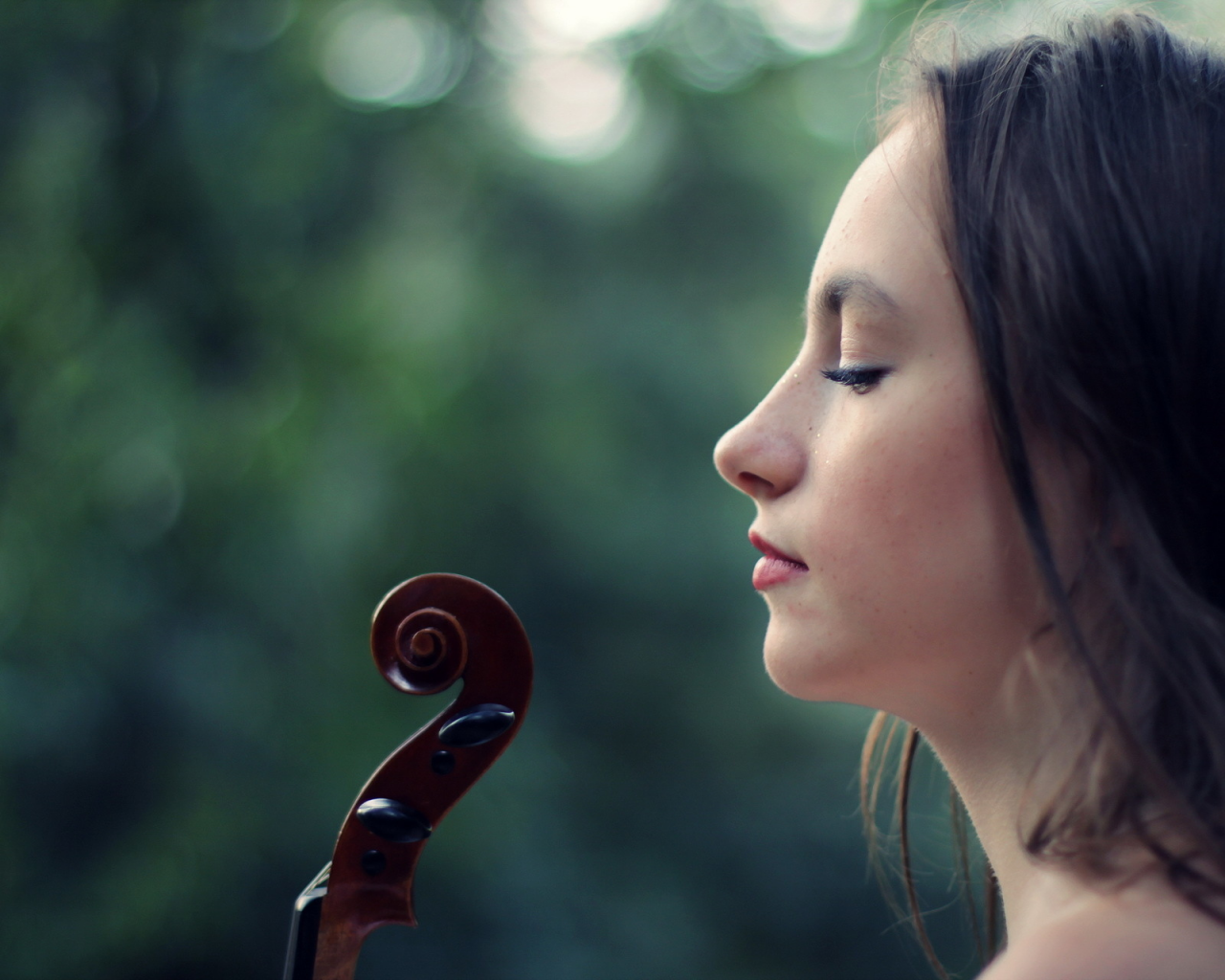 violin, conceptual, portrait