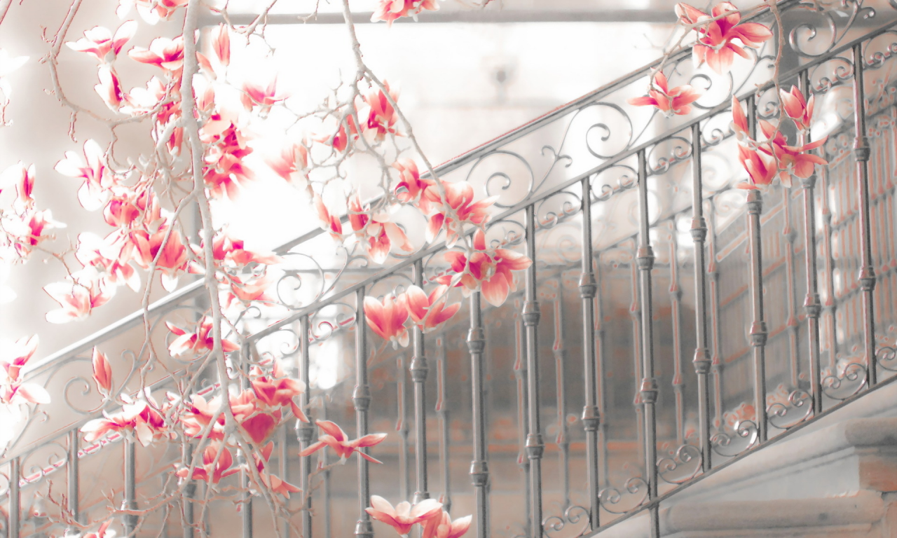 trailing down, magnolia, steps