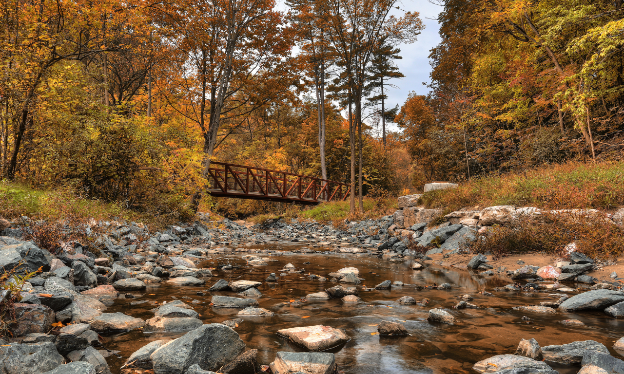 canada, wilket creek park, лес, канада, речка, мост, осень, деревья