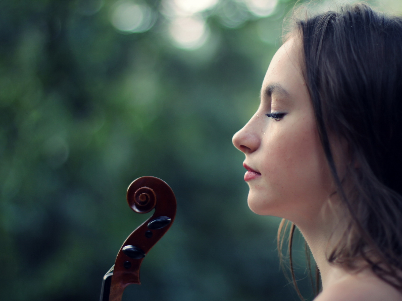 violin, conceptual, portrait