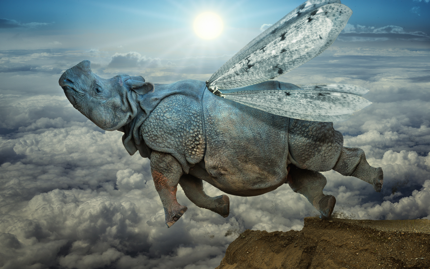 носорог, прыжок, облака, крылья