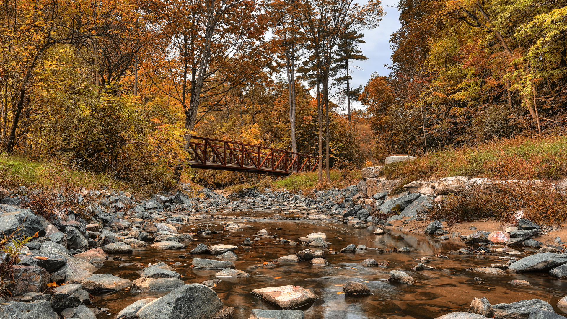canada, wilket creek park, лес, канада, речка, мост, осень, деревья