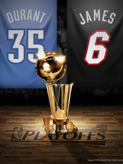 nba, play-offs 2014