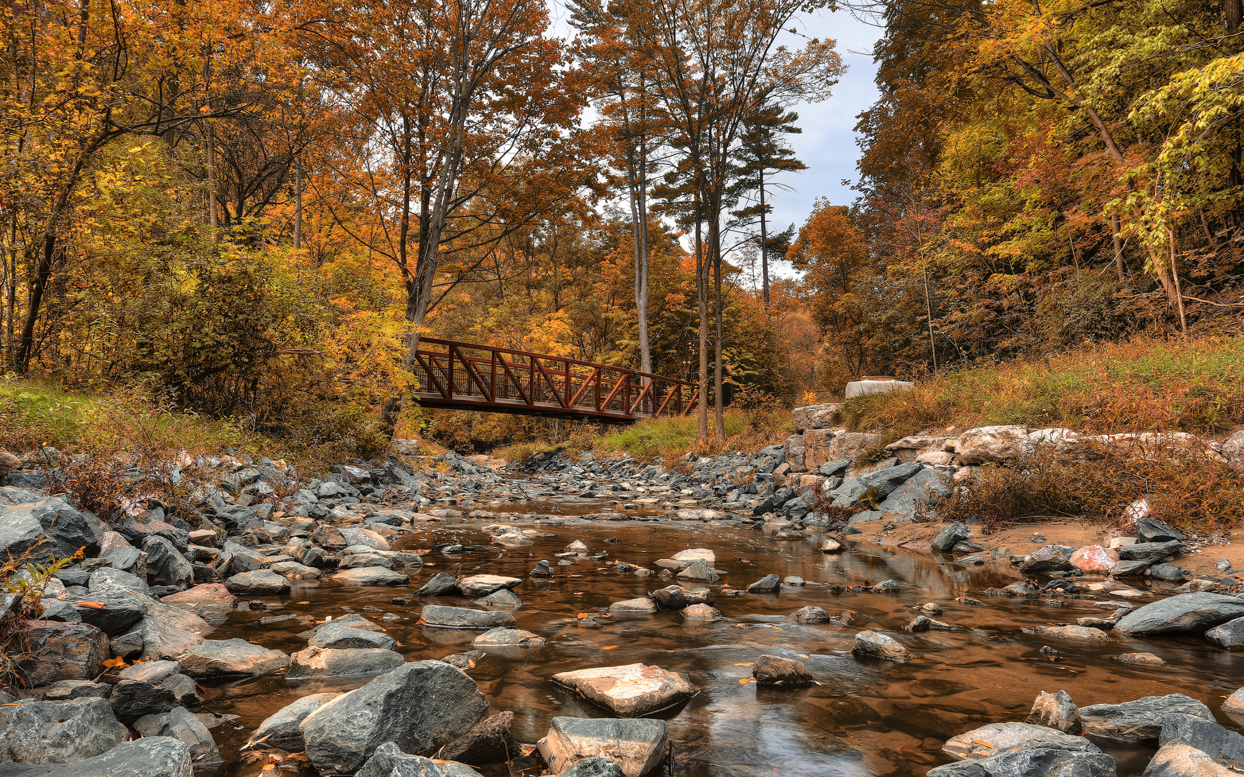 canada, wilket creek park, лес, канада, речка, мост, осень, деревья