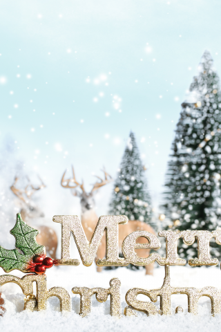 decoration, ornaments, christmas tree, new year, snow, snowflake, presents, merry christmas