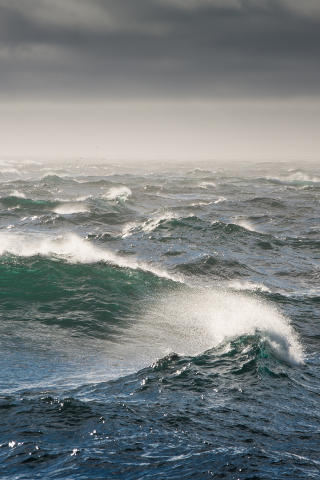 волны, шторм, берингово море, bering sea