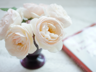 бело-розовые, цветы, розы, ваза, букет