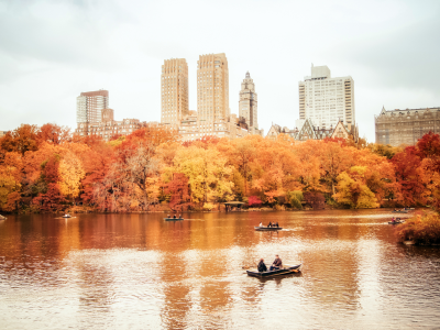 манхэттен, new york, central park, usa, nyc, new york city, нью-йорк, manhattan