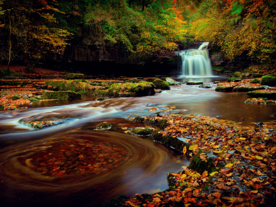 лес, йоркшир, осень, октябрь, северная англия, водопад