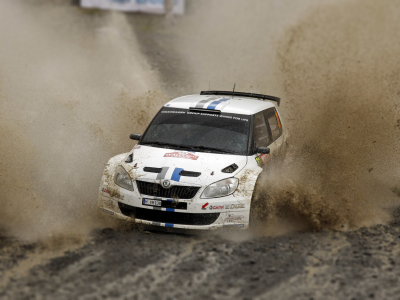 авто, fabia, skoda, ралли, rally, фабия, белый, wrc, машина, гонка