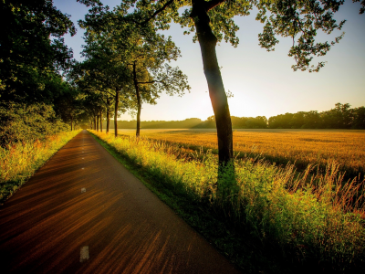природа, field, trees, view, grass, вид, road, sunset, nature, walk, forest