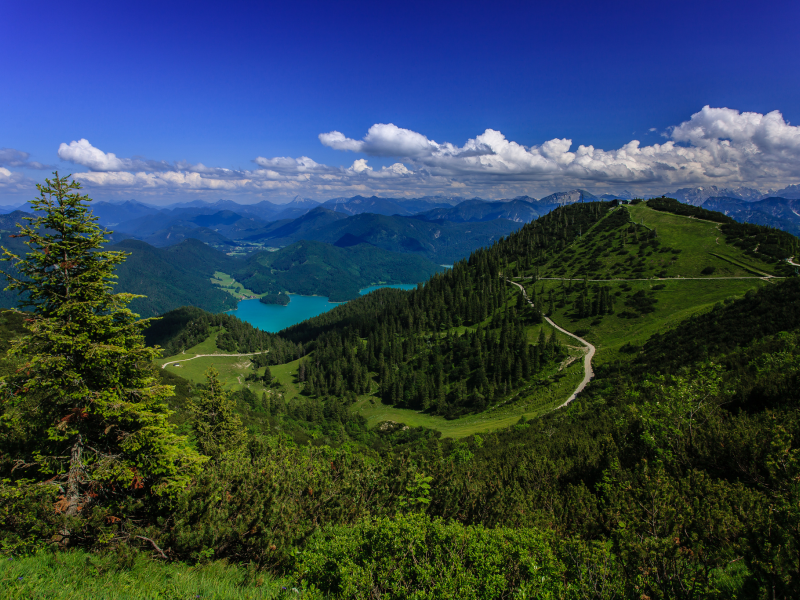 германия, леса, озеро, bavarian alps, germany, баварские альпы