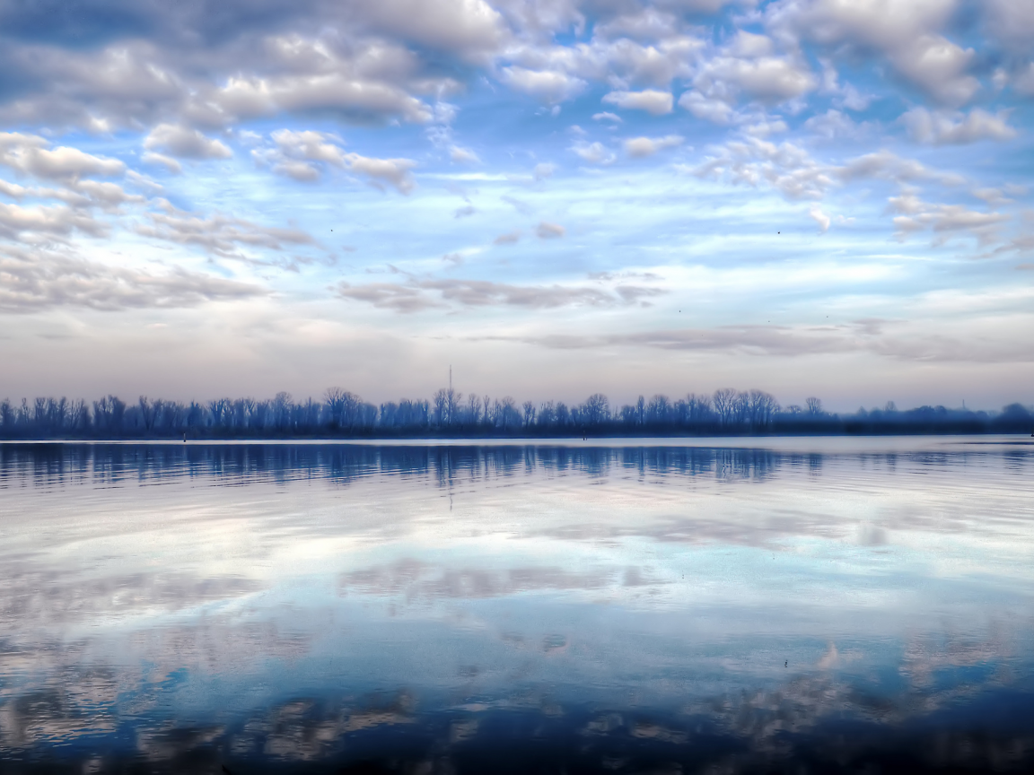 отражение, зимнее, утро, лес, озеро