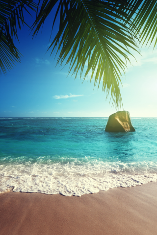 ocean, coast, paradise, beach, sea, summer, тропики, песок, tropical, palm, пляж