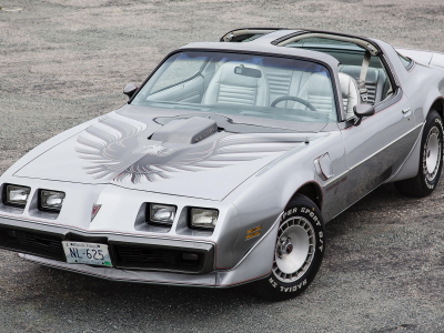 firebird, фаэрбёд, l80, понтиак, 6.6, 10th anniversary, trans am, pontiac, 1979