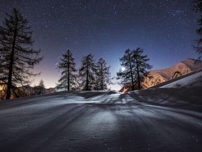 ночь, деревья, зима, горы, снег, звезды