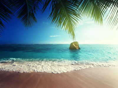 ocean, coast, paradise, beach, sea, summer, тропики, песок, tropical, palm, пляж