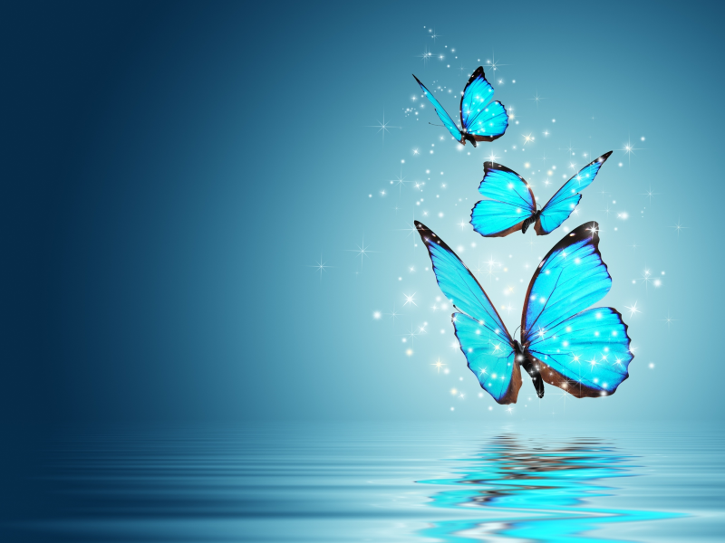 butterfly, magic, бабочка, настроения, волшебство, бабочки