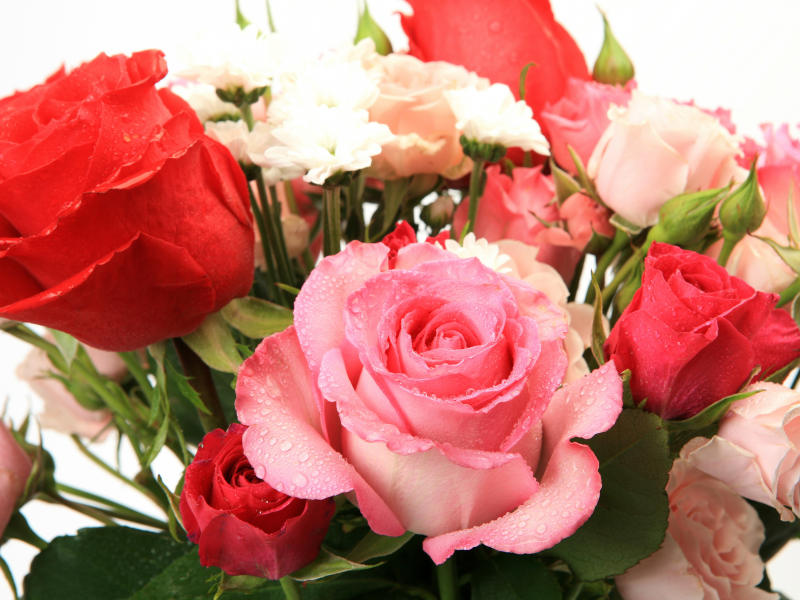 flowers, букет из роз, цветы, красивая, beautiful, bouquet of roses