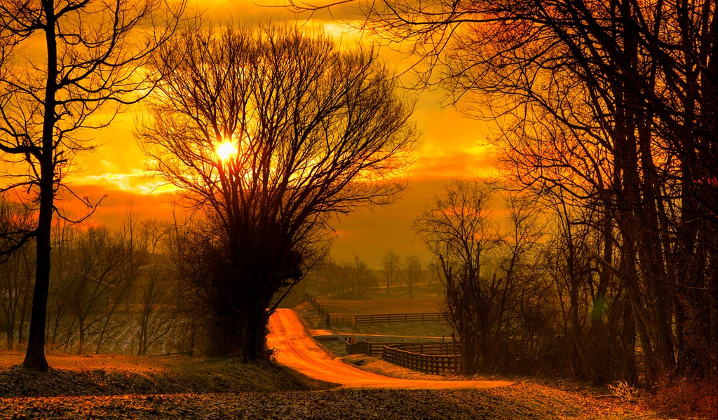 fall, road, forest, nature, sky, leaves, sunrise, colorful, sun, sunset, field, trees, path, autumn