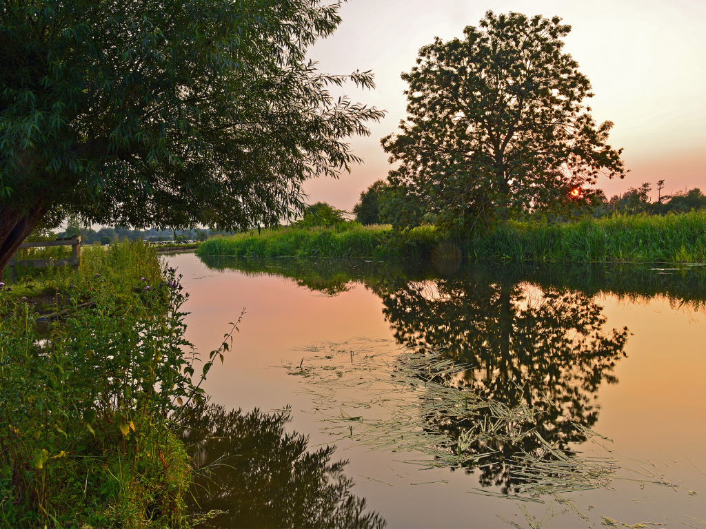 трава, закат, вечер, озеро, деревья