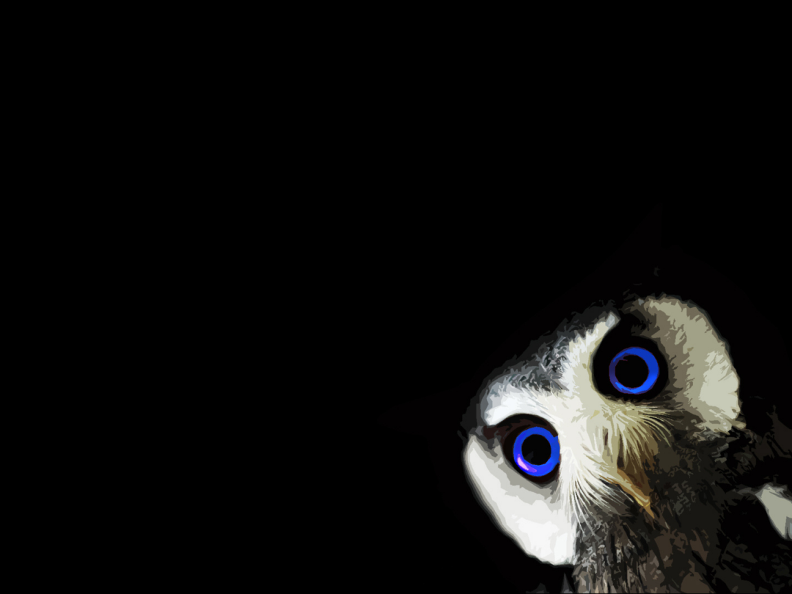 blue eyes, owl, minimalism, black, black background, animals