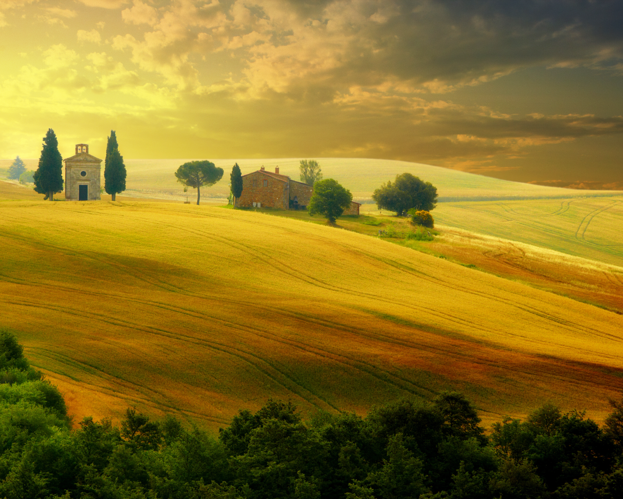nature, countryside, sunset , italy , trees, summer, sky, landscape, tuscany , beautiful field