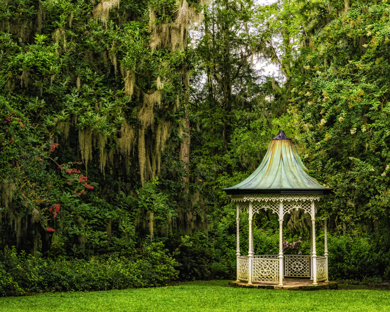 сады магнолий, magnolia gardens, south carolina, charleston, чарлстон