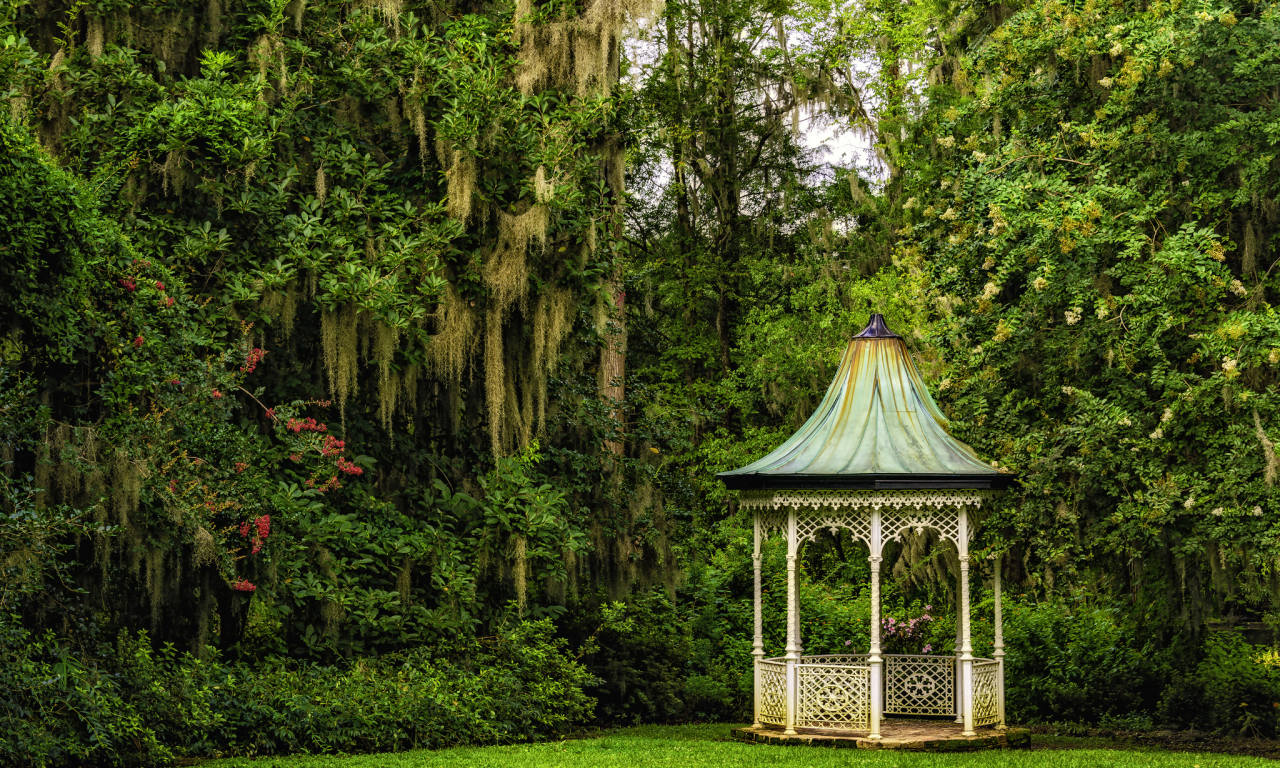 сады магнолий, magnolia gardens, south carolina, charleston, чарлстон