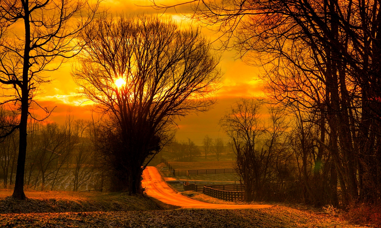 fall, road, forest, nature, sky, leaves, sunrise, colorful, sun, sunset, field, trees, path, autumn