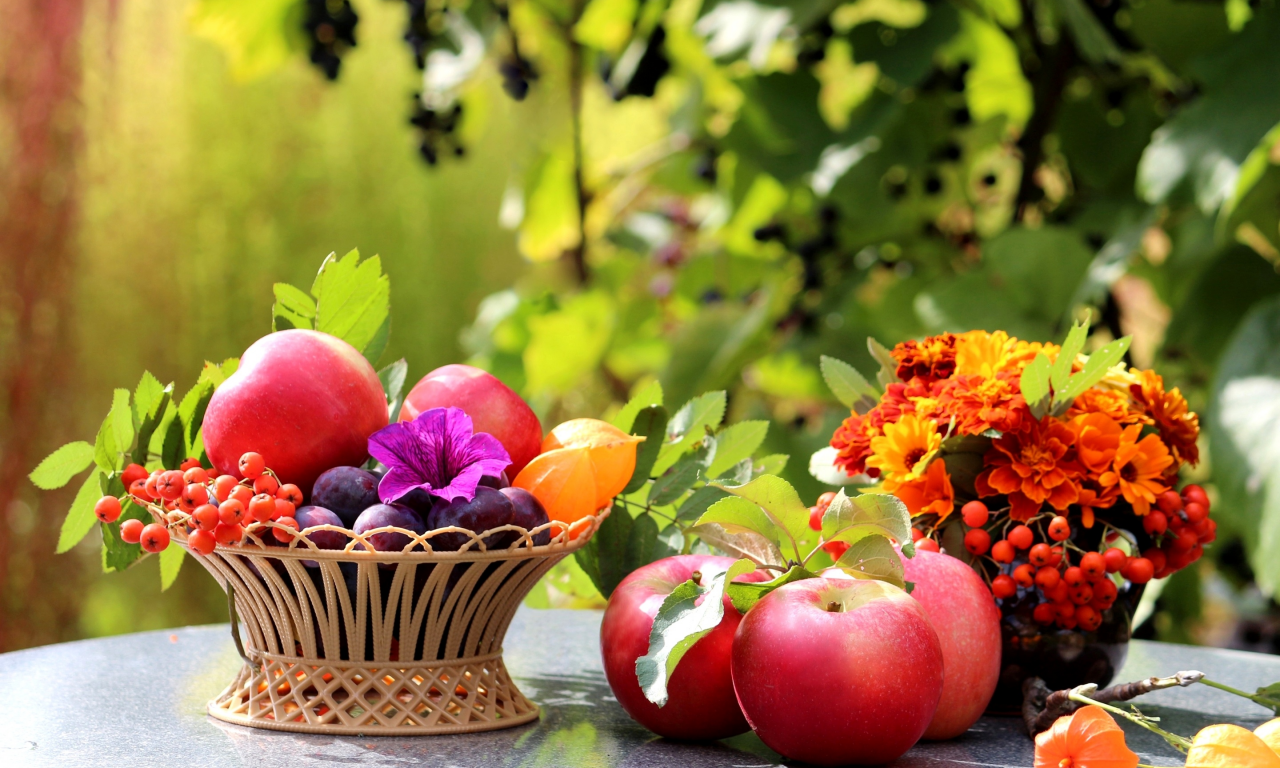 корзина, яблоки, рябина, сливы, стол, фрукты, цветы