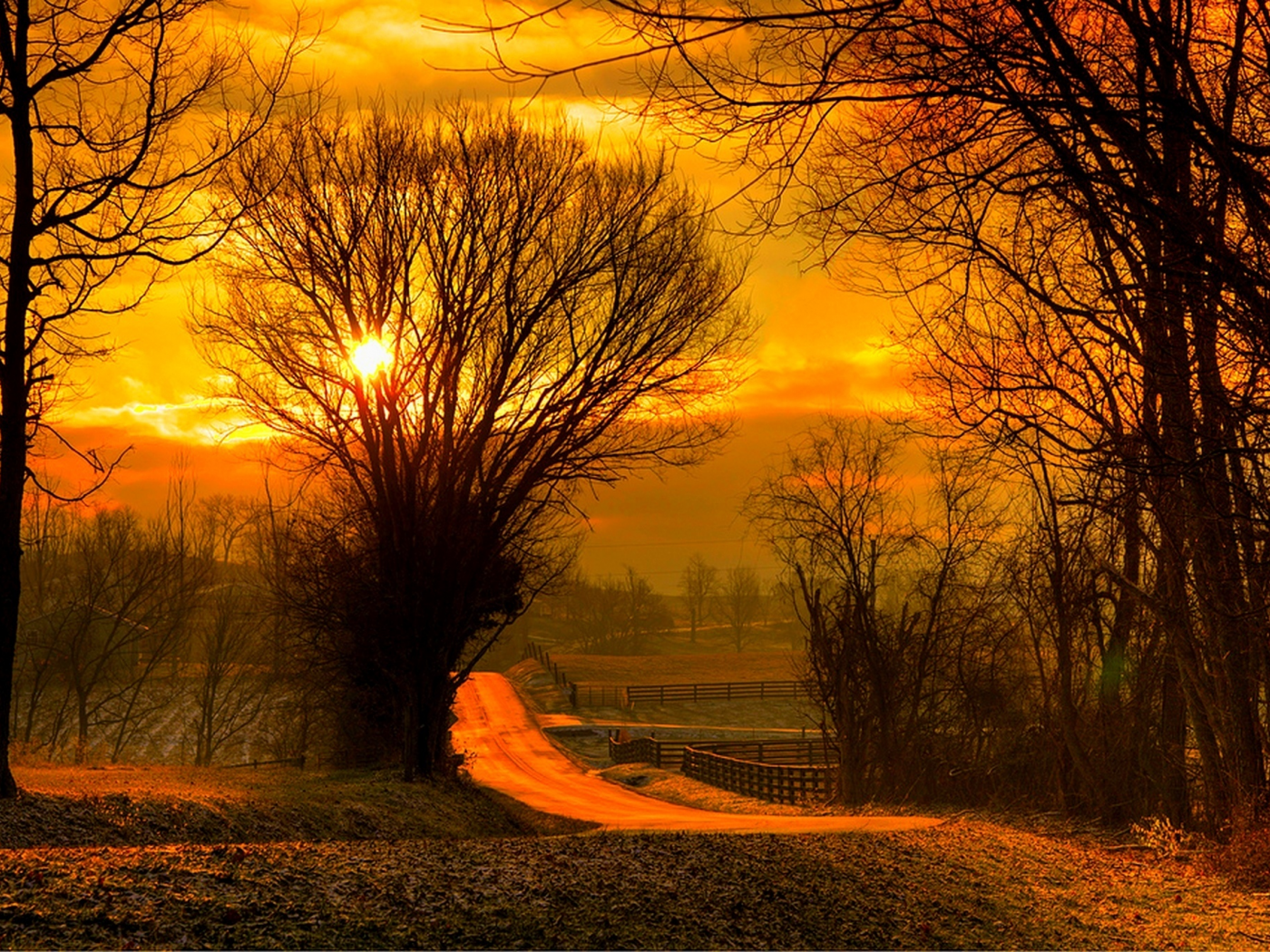 fall, road, forest, nature, sky, leaves, sunrise, colorful, sun, sunset, field, trees, path, autumn