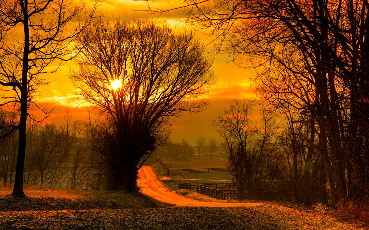 fall, road, forest, nature, sky, leaves, sunrise, colorful, sun, sunset, field, trees, path, autumn