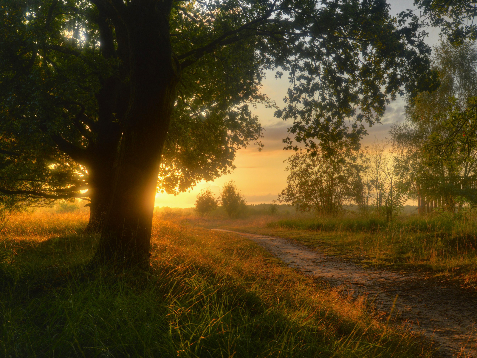 природа, нижняя саксония, sieringhoek, германия, lower saxony