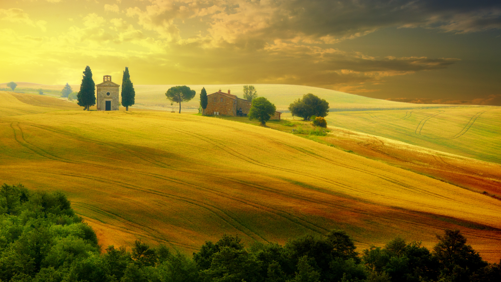 nature, countryside, sunset , italy , trees, summer, sky, landscape, tuscany , beautiful field
