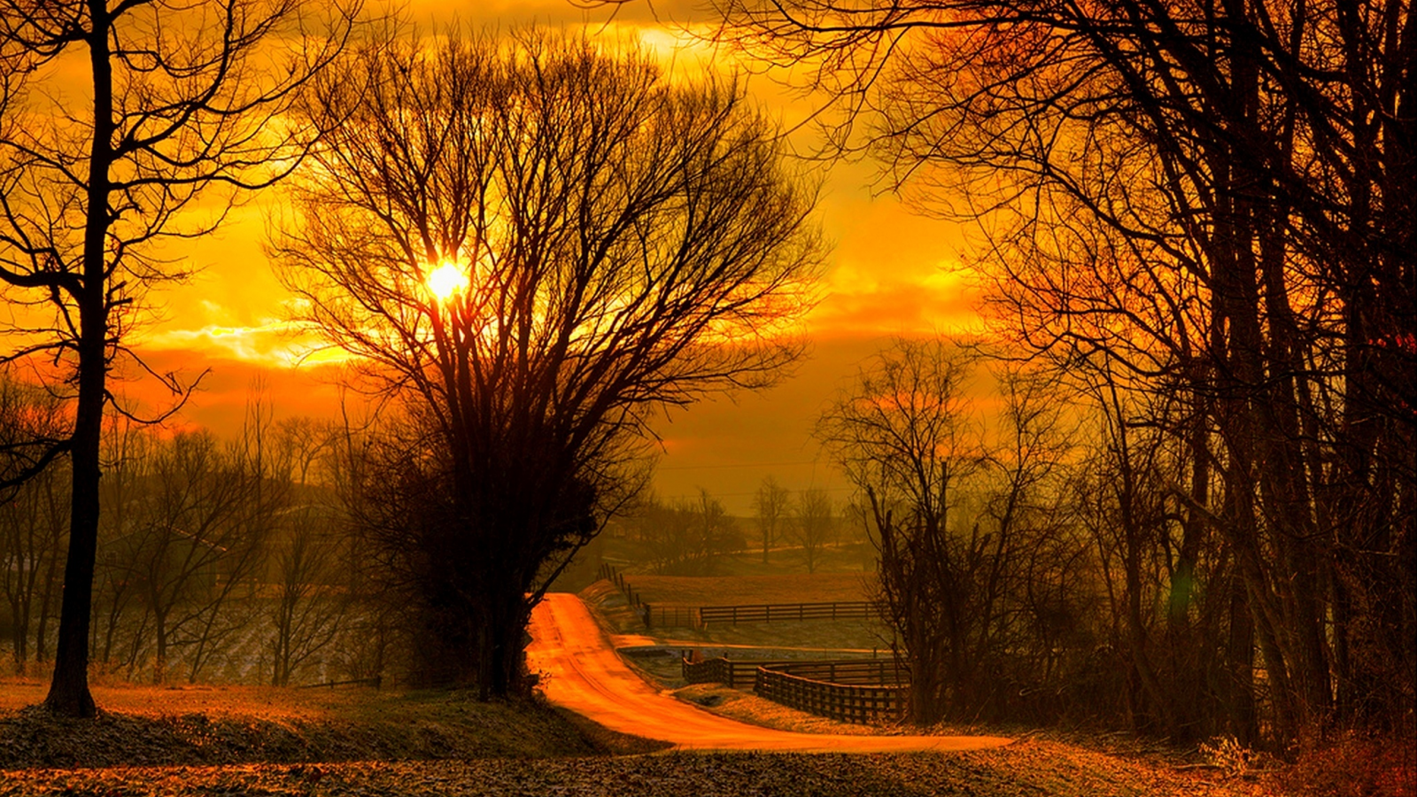 fall, road, forest, nature, sky, leaves, sunrise, colorful, sun, sunset, field, trees, path, autumn