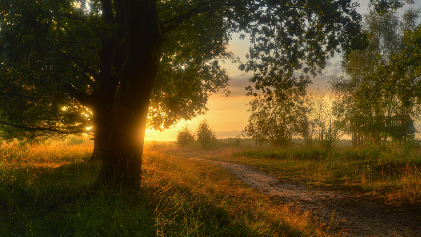 природа, нижняя саксония, sieringhoek, германия, lower saxony