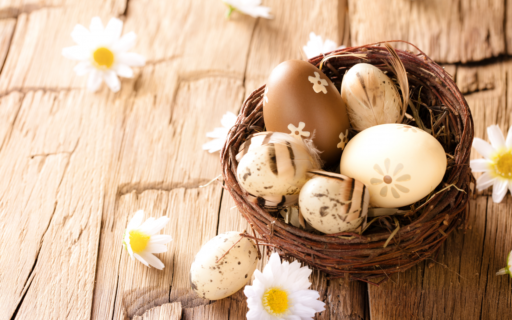 eggs, wood, flowers, пасха, ромашки, easter, яйца, camomile