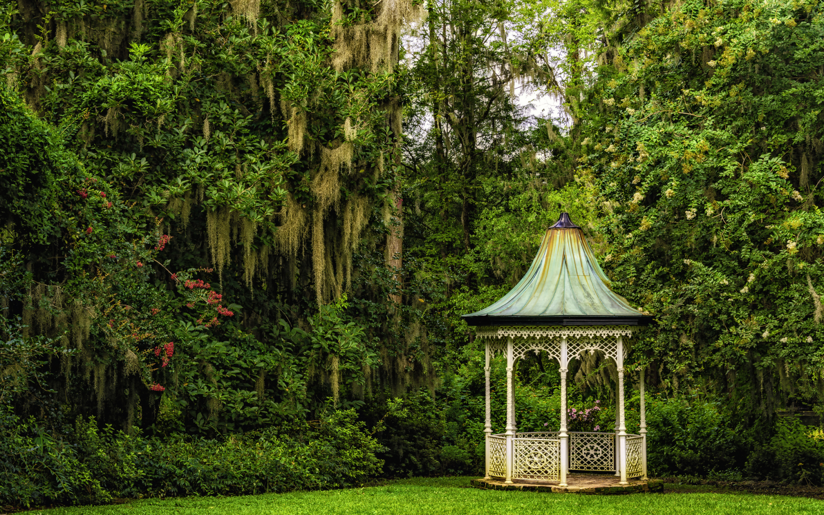 сады магнолий, magnolia gardens, south carolina, charleston, чарлстон