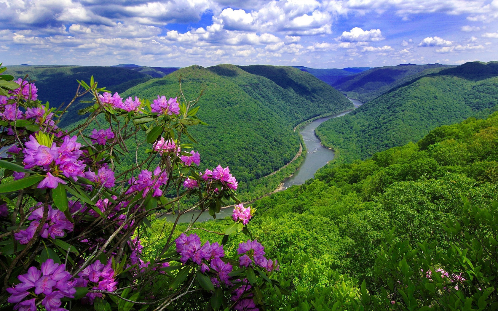 горы, река, природа, цветы