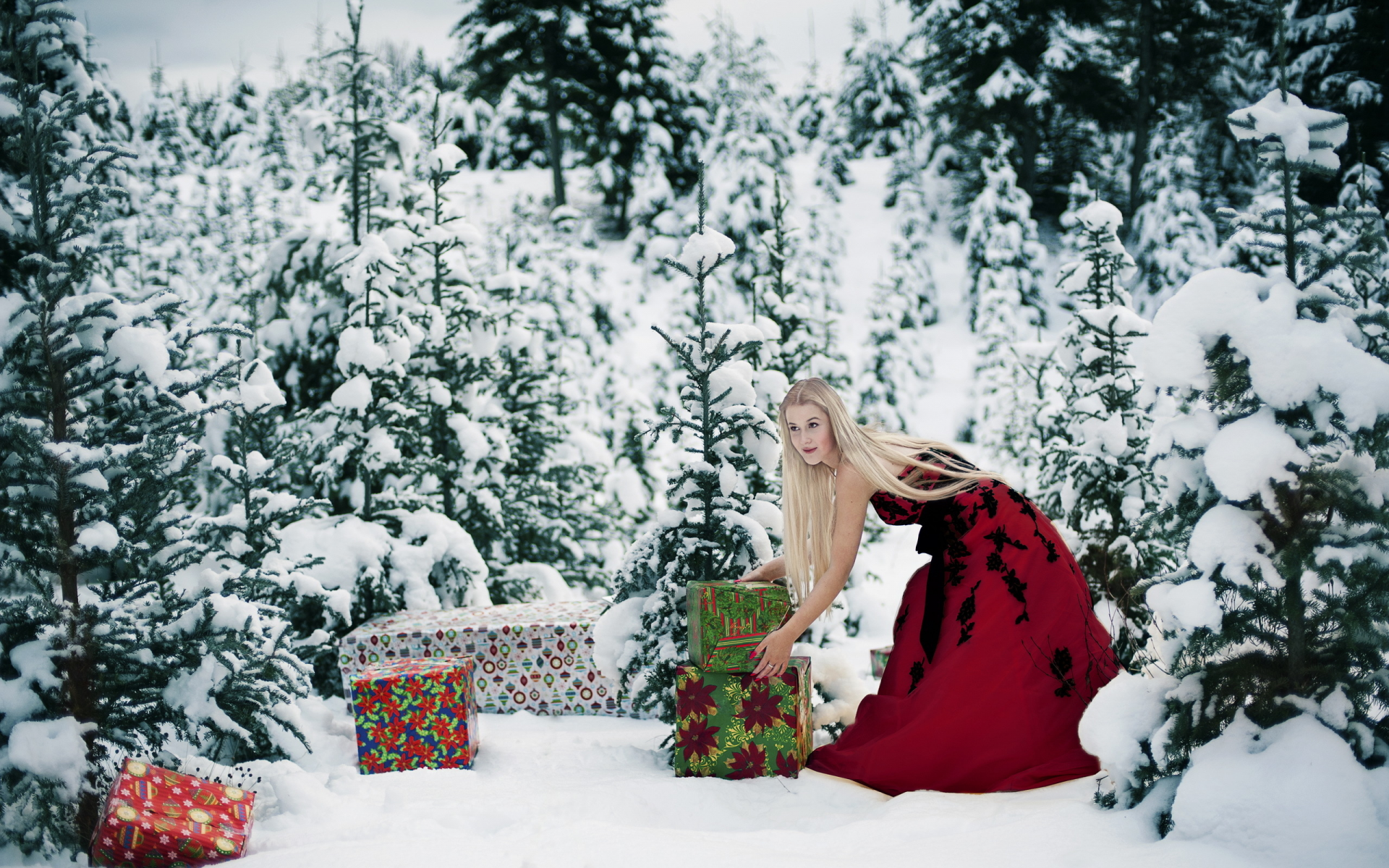 девушка, зима, лес, подарки