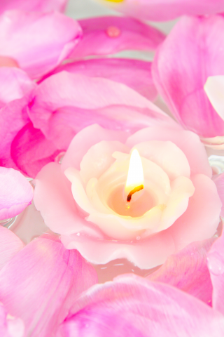 лепестки, свеча, розы, цветы, розовые