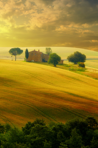 nature, countryside, sunset , italy , trees, summer, sky, landscape, tuscany , beautiful field