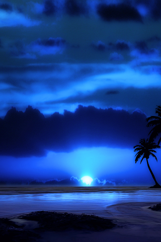вечер, пальма, небо, облака, море, ночь, пейзаж, тропики