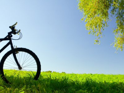 велосипед, настроения, колесо, зелень, трава, луг