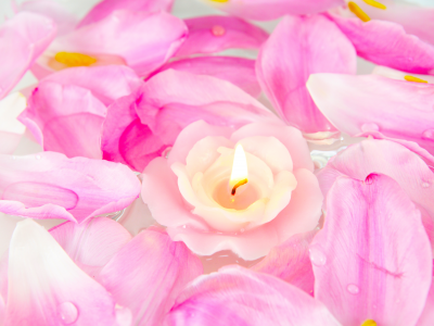 лепестки, свеча, розы, цветы, розовые
