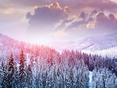 лес, небо, природа, зима, деревья, снег, горы, пейзаж