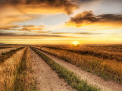 дорожка, поле, пейзаж, тропинка, зелень, природа, nature