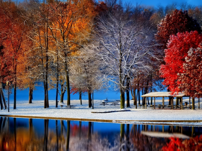 пруд, вода, пейзаж, деревья, парк, снег, осень, зима